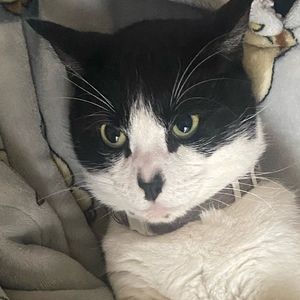 Meet your Posher, Makendra